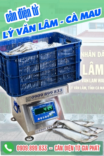 Cân điện tử ở Lý Văn Lâm Cà Mau - Cân Gia Phát