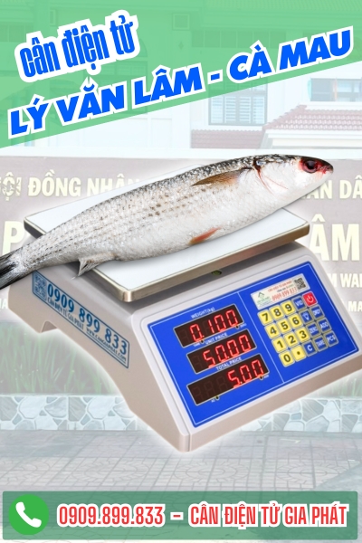 Cân điện tử ở phường Lý Văn Lâm - Cà Mau