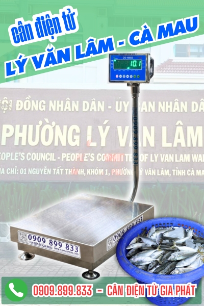 Cân điện tử ở Lý Văn Lâm Cà Mau - Cân Gia Phát