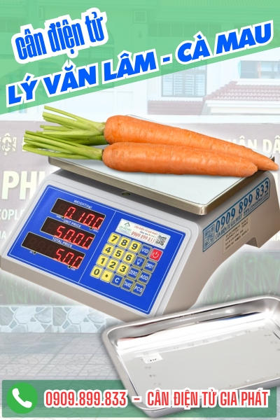 Cân điện tử ở Lý Văn Lâm Cà Mau - Cân Gia Phát