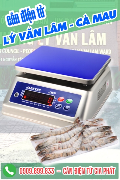 Cân điện tử ở Lý Văn Lâm Cà Mau - Cân Gia Phát