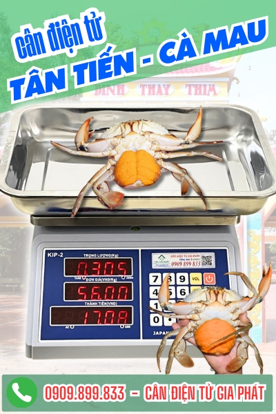 Cân điện tử cân cua 
