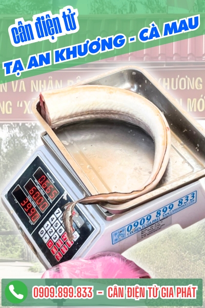 Cân điện tử ở Tạ An Khương Cà Mau - Cân Gia Phát