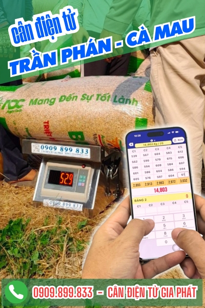 Cân điện tử ở Trần Phán Cà Mau - Cân Gia Phát