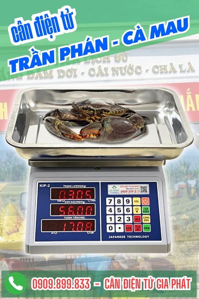 Cân điện tử ở Trần Phán Cà Mau - Cân Gia Phát