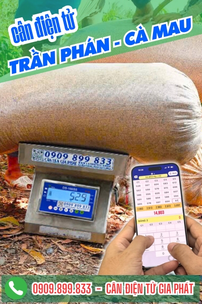 Giao cân điện tử vừa cân lúa vừa cân tôm cho chú Tám ở xã Trần Phán Cà Mau