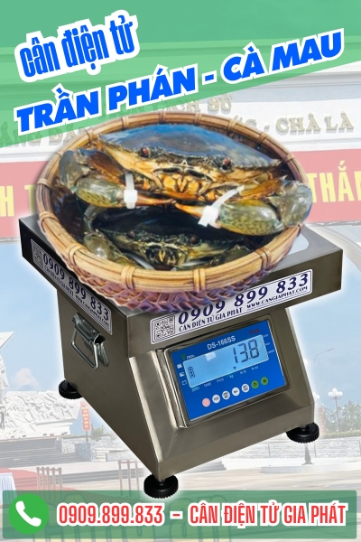 Cân điện tử ở Trần Phán Cà Mau - Cân Gia Phát