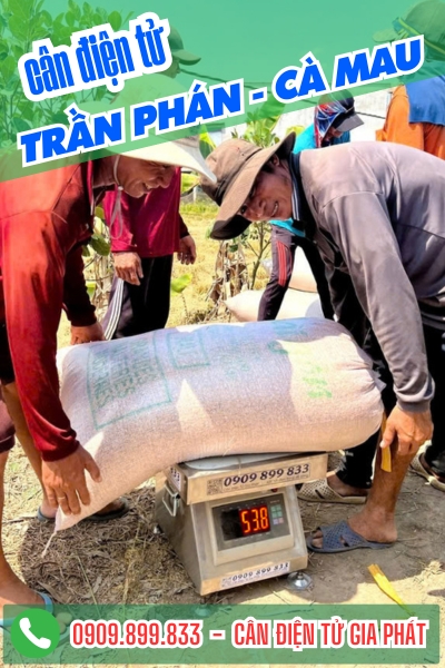 Cân điện tử ở Trần Phán Cà Mau - Cân Gia Phát