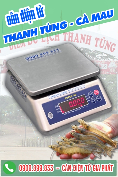 Cân điện tử ở Thanh Tùng Cà Mau - Cân Gia Phát