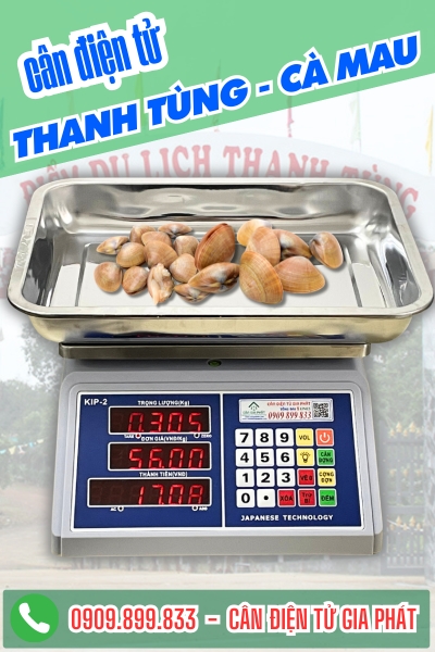 Cân điện tử ở Thanh Tùng Cà Mau - Cân Gia Phát
