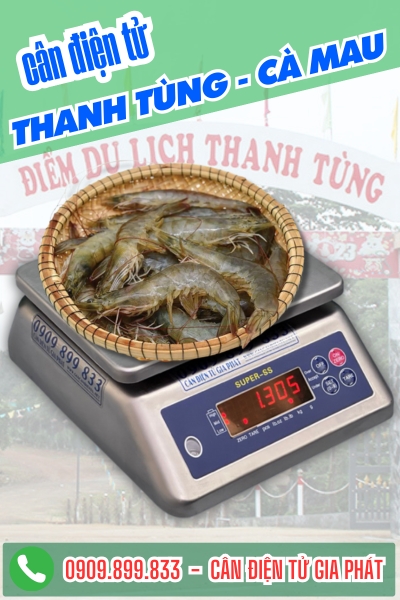 Cân điện tử 3kg chống nước cân tôm tỉ lệ ở xã Thanh Tùng Cà Mau