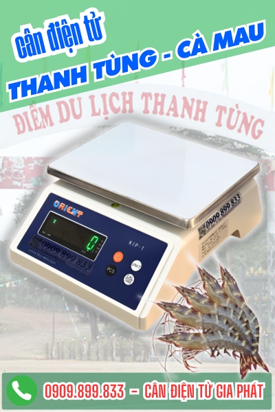 Cân điện tử ở Thanh Tùng Cà Mau - Cân Gia Phát