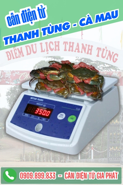 Cân điện tử ở Thanh Tùng Cà Mau - Cân Gia Phát
