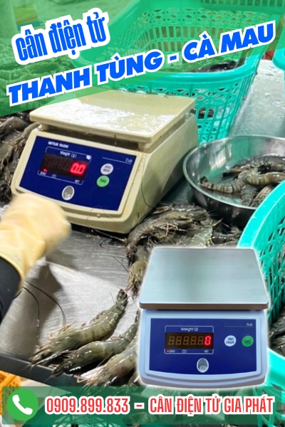 Cân điện tử ở Thanh Tùng Cà Mau - Cân Gia Phát