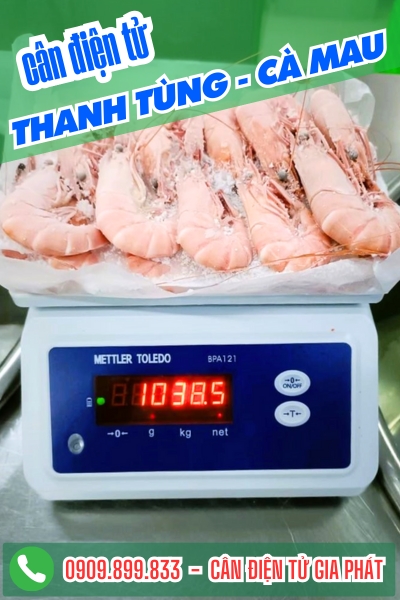 Cân điện tử ở Thanh Tùng Cà Mau - Cân Gia Phát