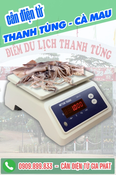 Cân điện tử ở Thanh Tùng Cà Mau - Cân Gia Phát