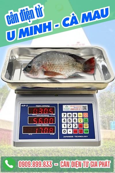 Cân điện tử ở U Minh Cà Mau - Cân Gia Phát