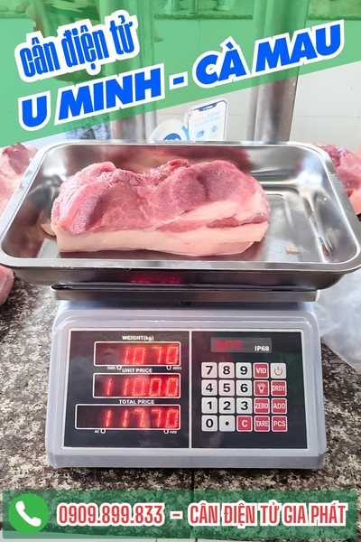 Cân điện tử ở U Minh Cà Mau - Cân Gia Phát