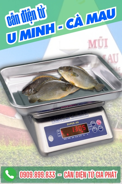 Cân điện tử ở U Minh Cà Mau - Cân Gia Phát