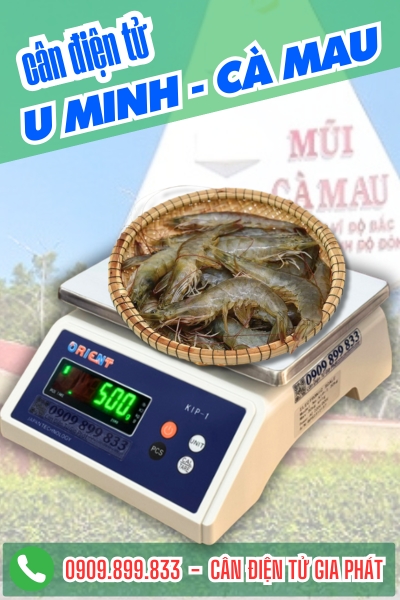 Cân điện tử ở U Minh Cà Mau - Cân Gia Phát