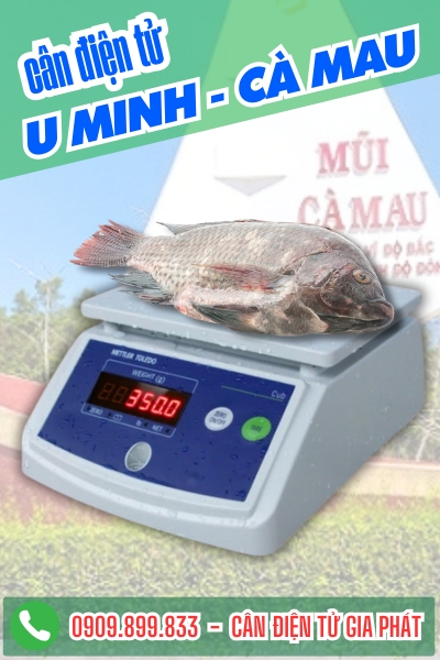 Cân điện tử ở U Minh Cà Mau - Cân Gia Phát