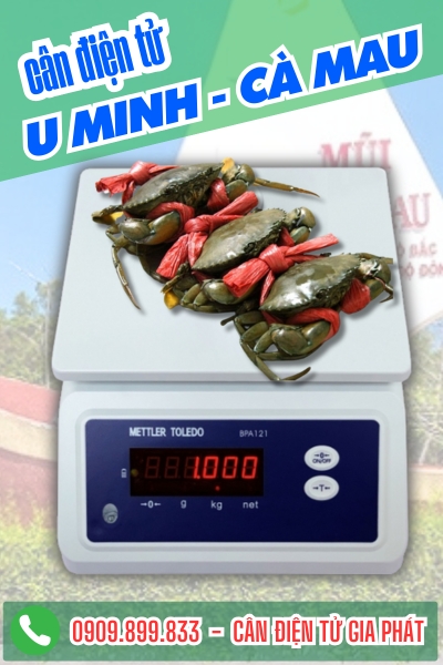 Cân điện tử ở U Minh Cà Mau - Cân Gia Phát
