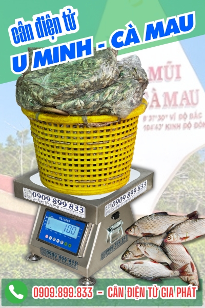 Cân điện tử ở U Minh Cà Mau - Cân Gia Phát