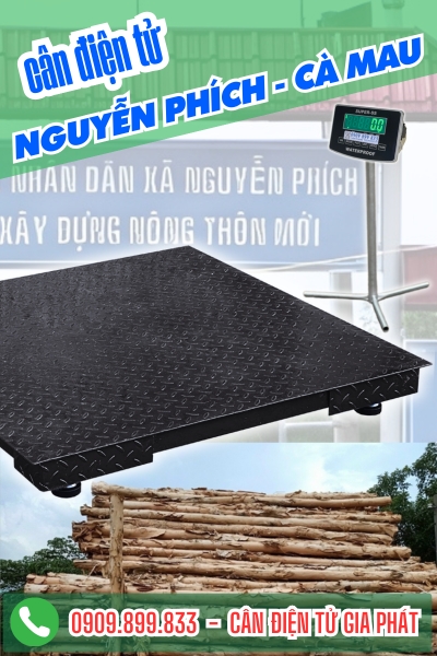 Cân điện tử ở Nguyễn Phích Cà Mau - Cân Gia Phát