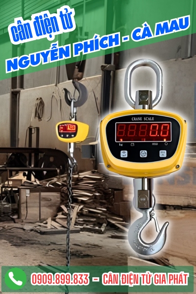 Cân điện tử ở Nguyễn Phích Cà Mau - Cân Gia Phát