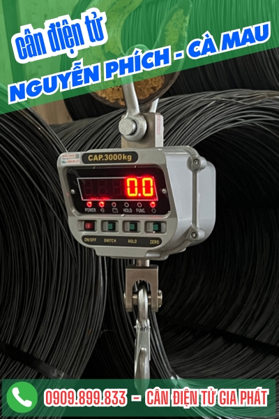 Cân điện tử ở Nguyễn Phích Cà Mau - Cân Gia Phát