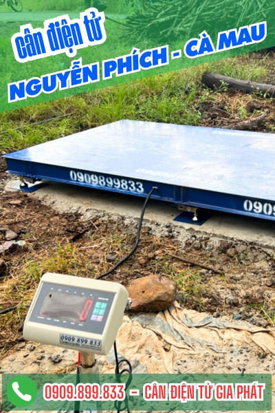 Cân điện tử 3 tấn cân củi cân gỗ ở xã Nguyễn Phích Cà Mau