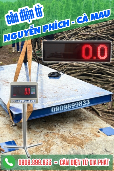 Cân điện tử ở Nguyễn Phích Cà Mau - Cân Gia Phát
