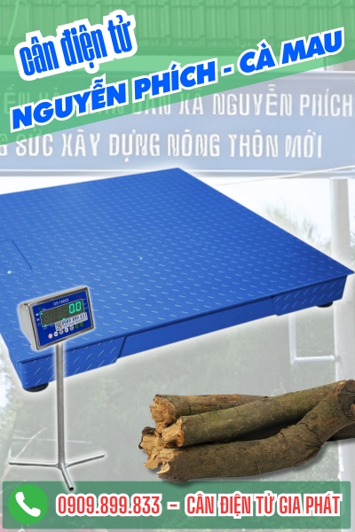 Cân điện tử ở Nguyễn Phích Cà Mau - Cân Gia Phát