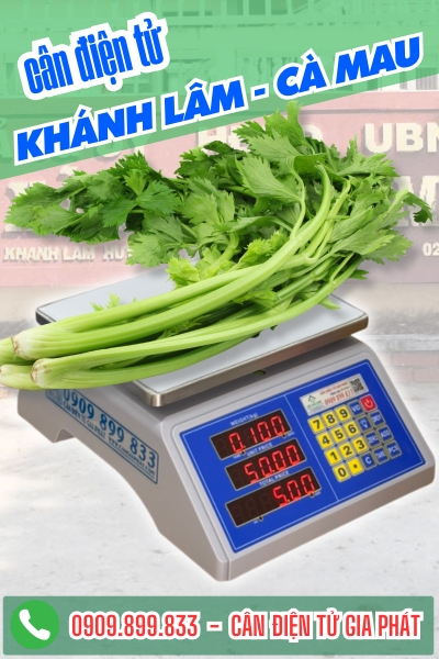 Cân điện tử cân rau cần gừng ở xã Khánh Lâm Cà Mau