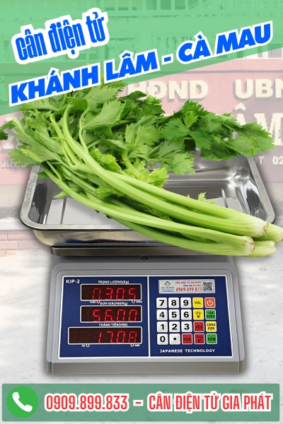 C&acirc;n điện tử ở Kh&aacute;nh L&acirc;m C&agrave; Mau - C&acirc;n Gia Ph&aacute;t