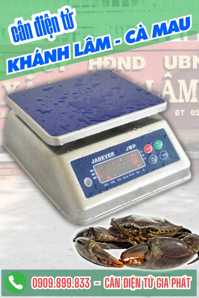 C&acirc;n điện tử ở Kh&aacute;nh L&acirc;m C&agrave; Mau - C&acirc;n Gia Ph&aacute;t