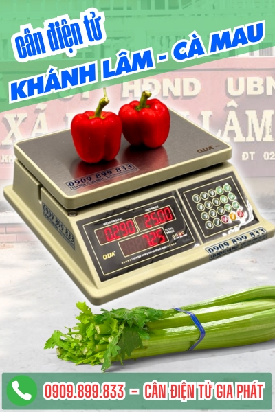 C&acirc;n điện tử ở Kh&aacute;nh L&acirc;m C&agrave; Mau - C&acirc;n Gia Ph&aacute;t