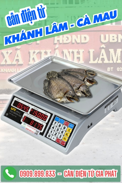 C&acirc;n điện tử ở Kh&aacute;nh L&acirc;m C&agrave; Mau - C&acirc;n Gia Ph&aacute;t