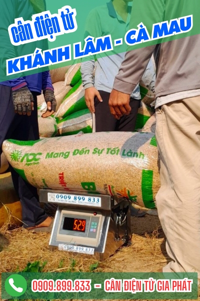 C&acirc;n điện tử ở Kh&aacute;nh L&acirc;m C&agrave; Mau - C&acirc;n Gia Ph&aacute;t