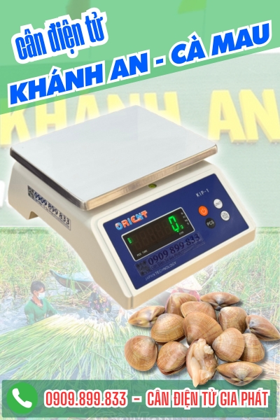 Cân điện tử ở Khánh An Cà Mau - Cân Gia Phát