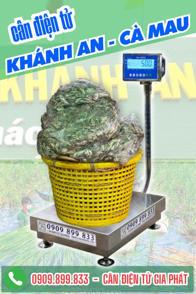 Cân điện tử ở Khánh An Cà Mau - Cân Gia Phát