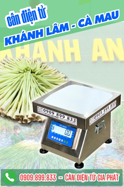 Cân điện tử ở Khánh An Cà Mau - Cân Gia Phát