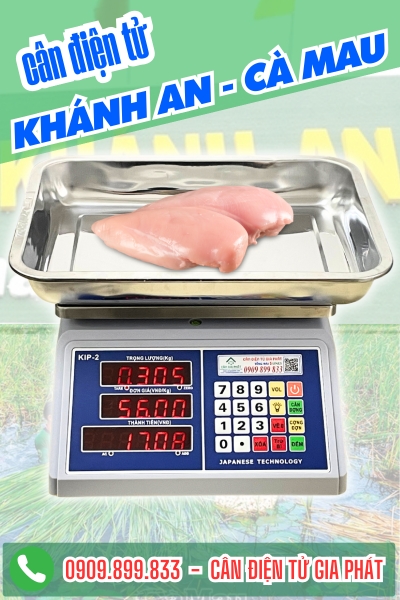 Cân điện tử ở Khánh An Cà Mau - Cân Gia Phát