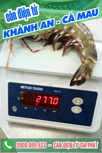 Cân điện tử ở Khánh An Cà Mau - Cân Gia Phát