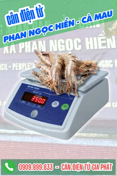 Cân điện tử chuyên cân tôm sú ngành chủ lực ở Xã Phan Ngọc Hiển Cà Mau