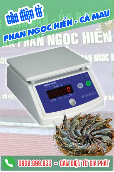 Cân điện tử cân tôm sú ở Phan Ngọc Hiển Cà Mau - Cân Gia Phát