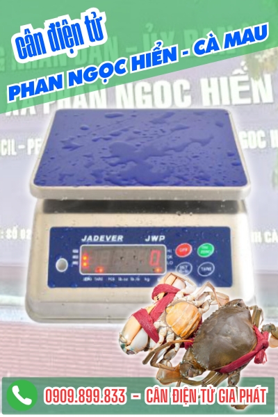 Cân điện tử cân tôm sú ở Phan Ngọc Hiển Cà Mau - Cân Gia Phát