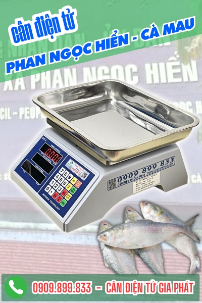 Cân điện tử cân tôm sú ở Phan Ngọc Hiển Cà Mau - Cân Gia Phát