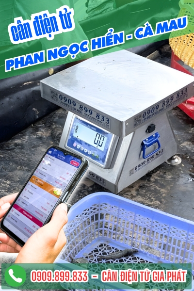 Cân điện tử cân tôm sú ở Phan Ngọc Hiển Cà Mau - Cân Gia Phát