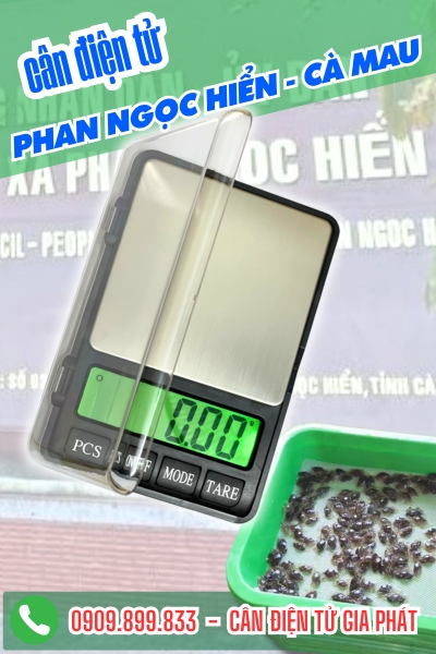 Cân điện tử cân tôm sú ở Phan Ngọc Hiển Cà Mau - Cân Gia Phát